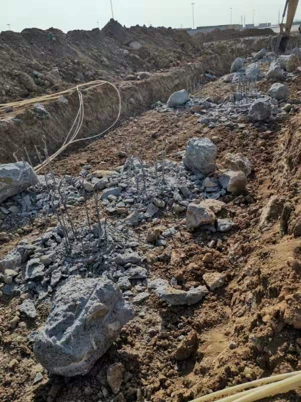 免费老司机视频