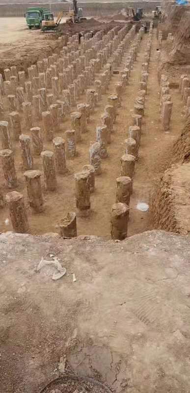 免费老司机视频