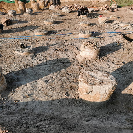 德州老司机成人网