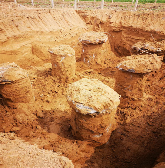 德州老司机成人网