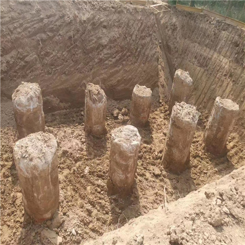 菏澤老司机成人网