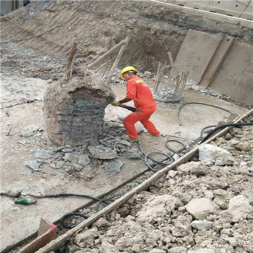 棗莊老司机成人网