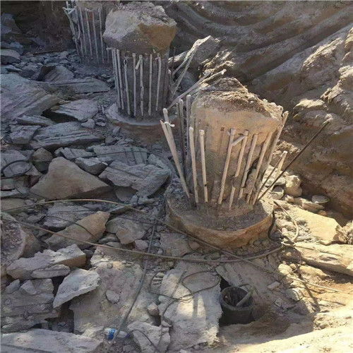 棗莊老司机成人网