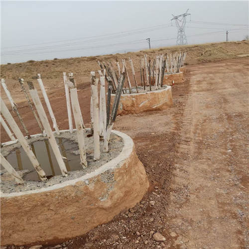 棗莊老司机成人网