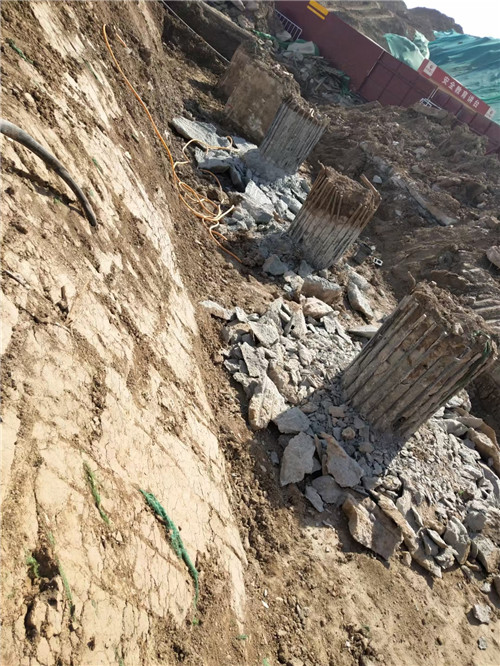 青島老司机成人网