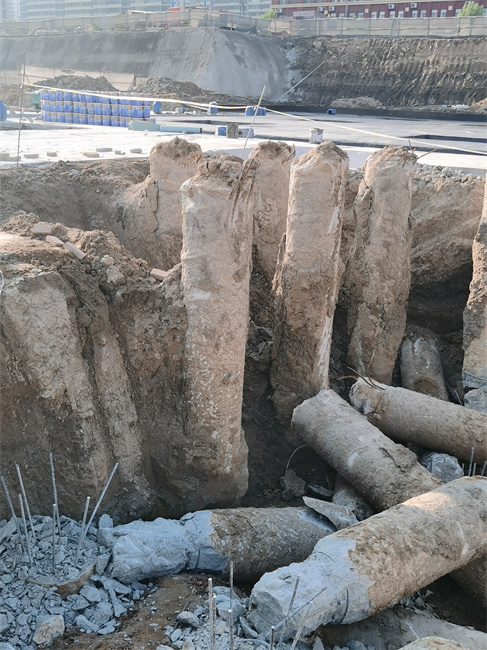 德州老司机成人网