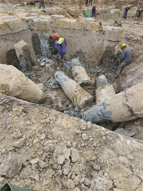 濟寧老司机成人网