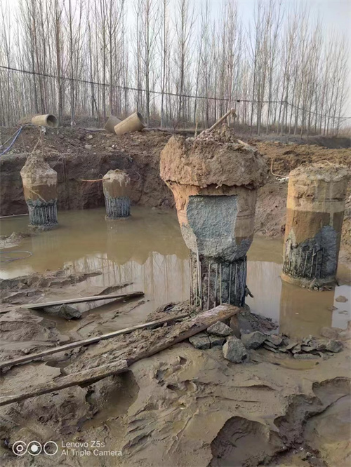 鄒城老司机成人网