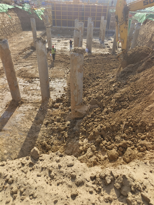 沛縣老司机成人网