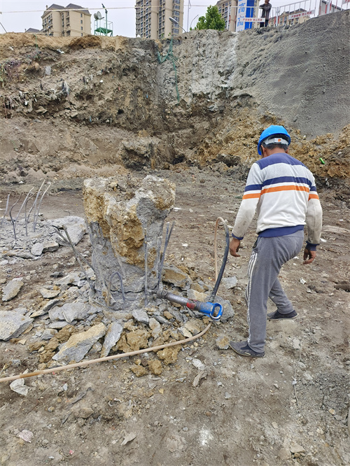 豐縣老司机成人网