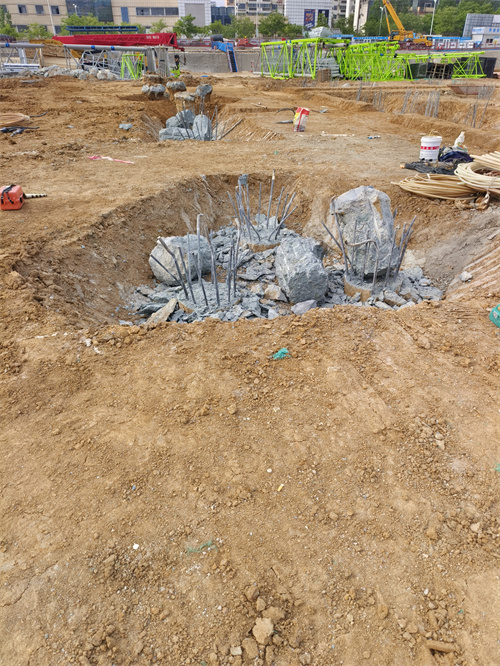 薛城老司机成人网