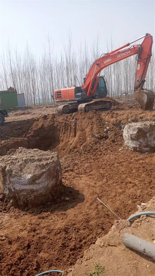 東平老司机成人网