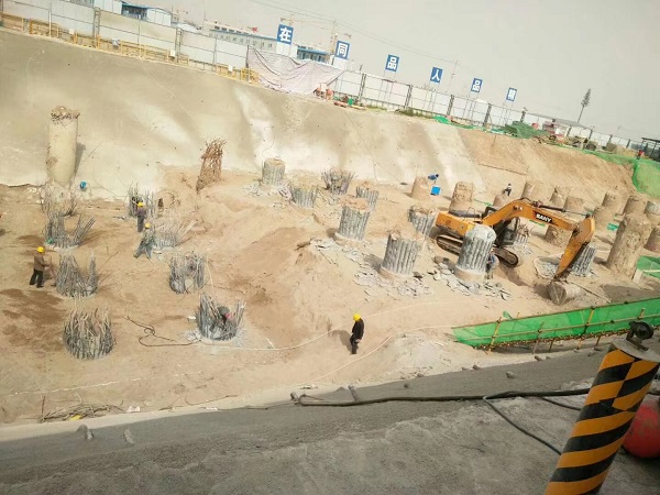 菏澤老司机成人网