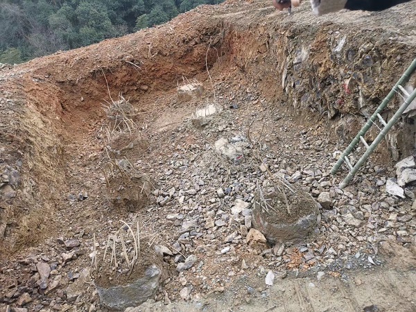 濟南老司机成人网