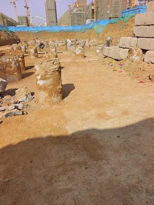 微山老司机成人网