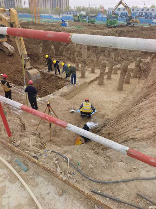 山東老司机成人网