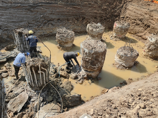 任城專業老司机成人网