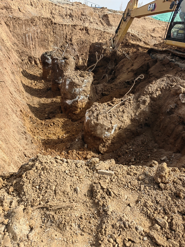 嘉祥專業老司机成人网